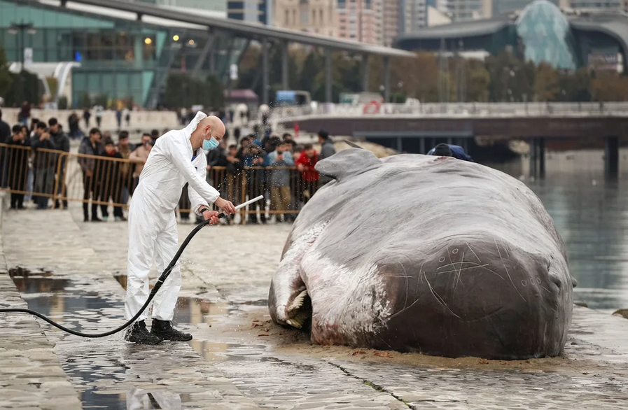 Выброшенная на берег инсталляция в виде кита лежит на набережной, а один из участников коллектива поливает ее из шланга.