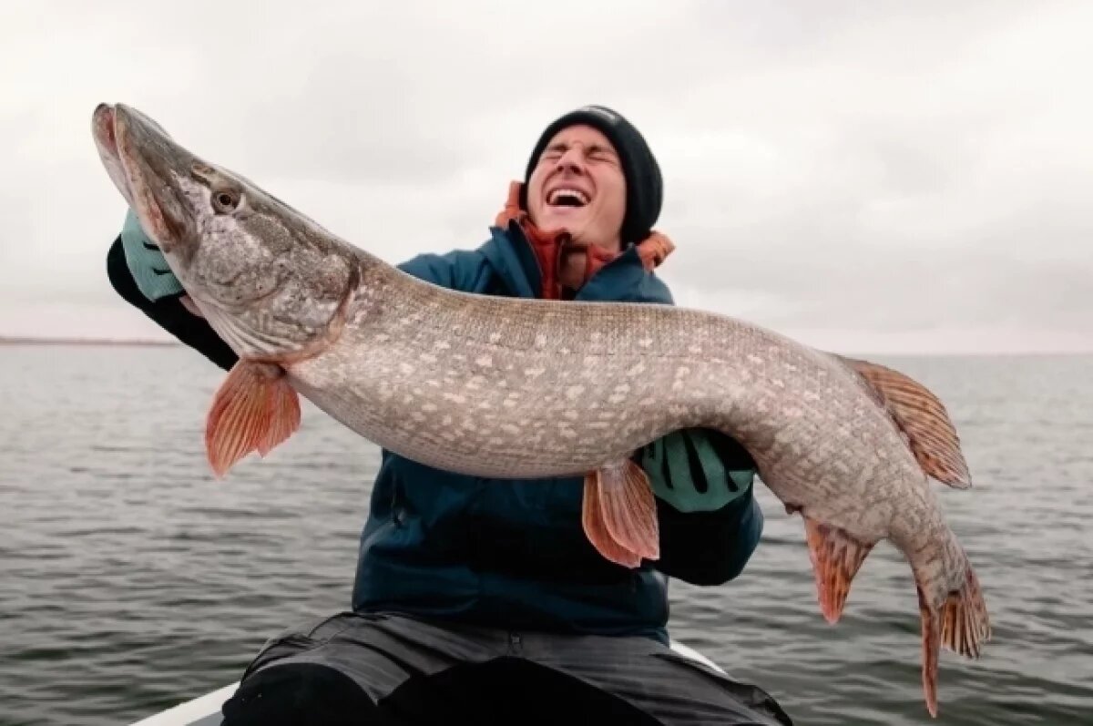   Юный волгоградец поймал гигантскую щуку в Волге