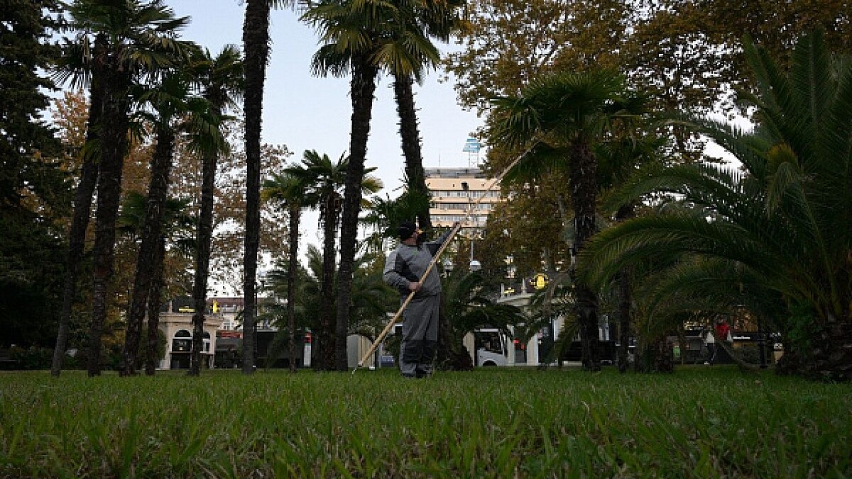    Фото: пресс-служба администрации Сочи