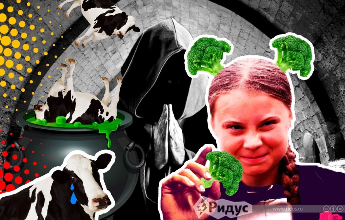    © Михаил Салтыков / Коллаж / Ridus.ru