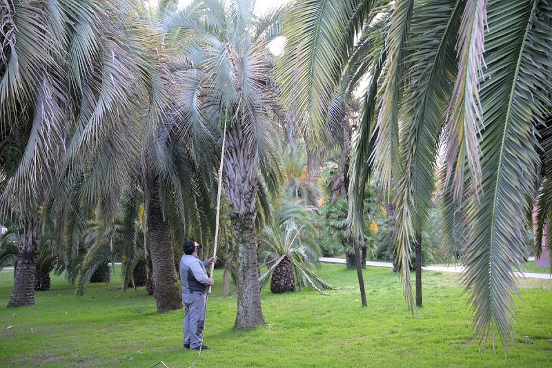    Фото: пресс-служба администрации Сочи