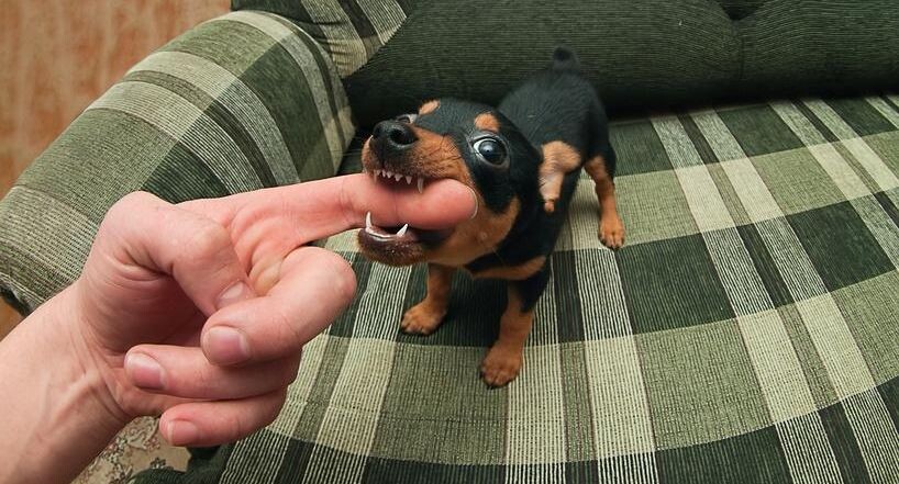    Зубко Юрий / Фотобанк Лори