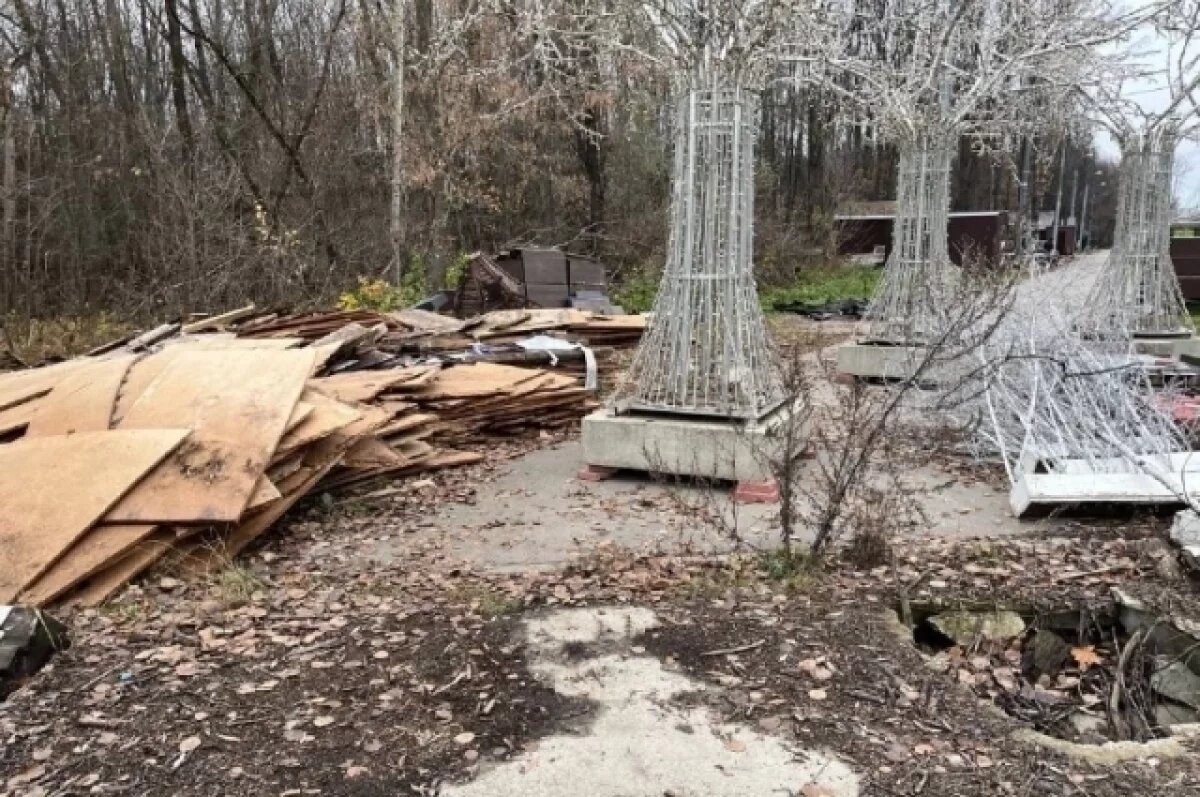    Рязанцы жалуются на мусор в Лесопарке