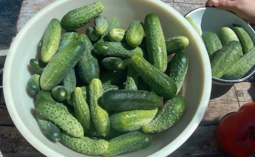 Хороший урожай