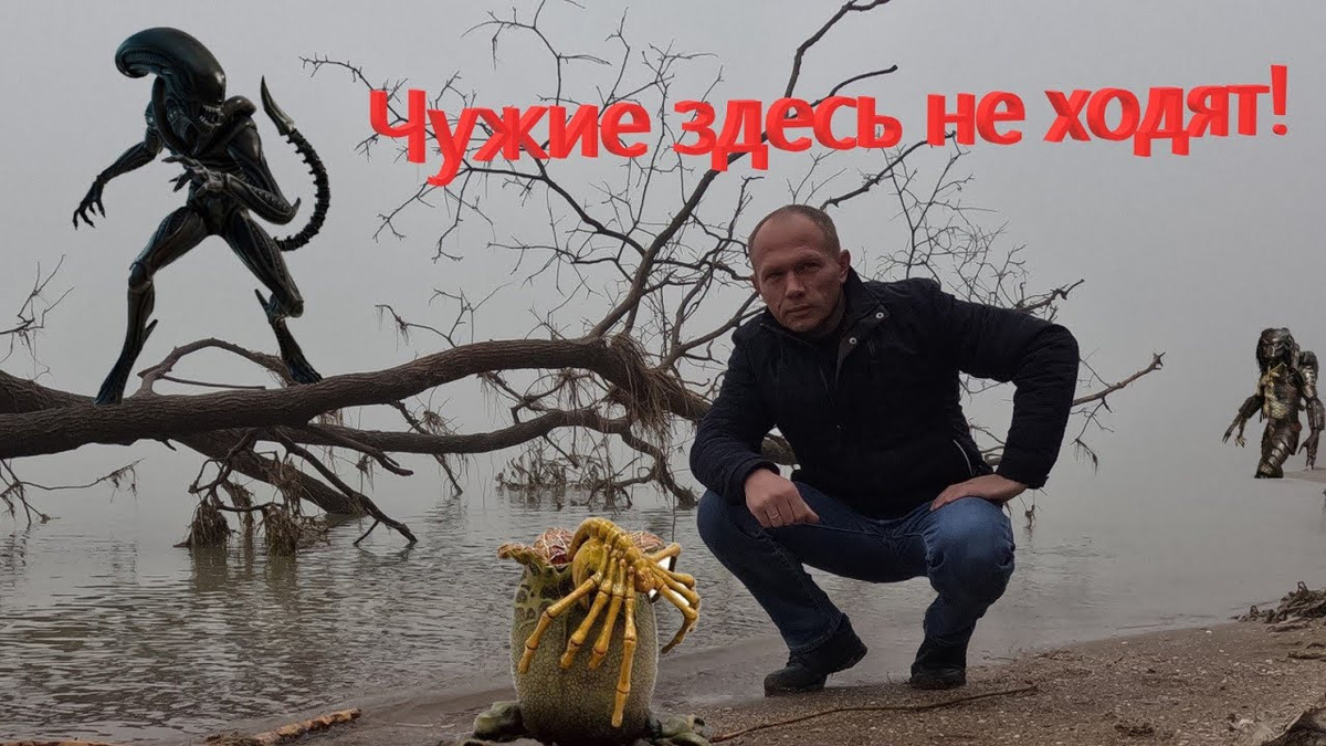 Не чужие где снимали Не чужие где снимали