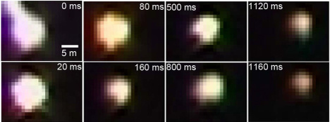 Раскадровка с камеры китайских ученых