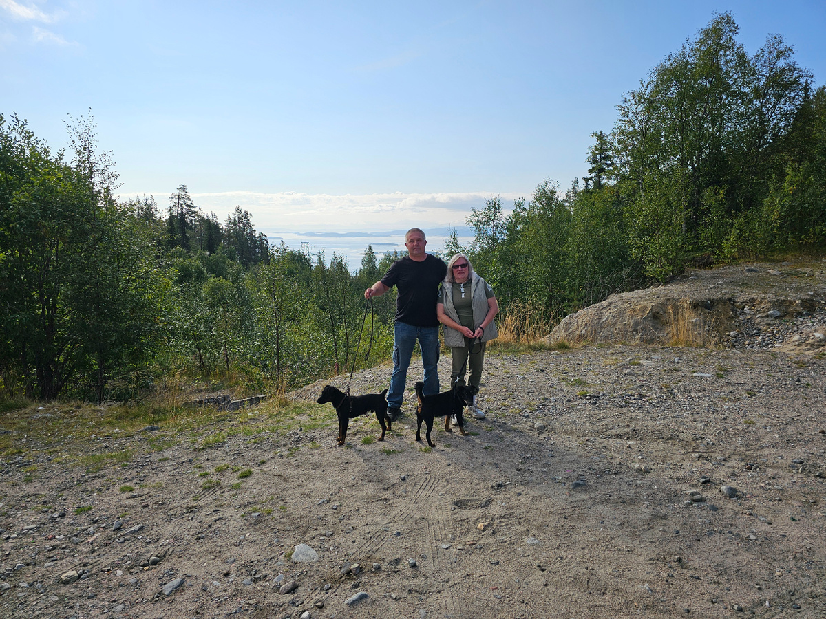 Кольский полуостров. Берег белого моря. Собаки путешествую с нами.