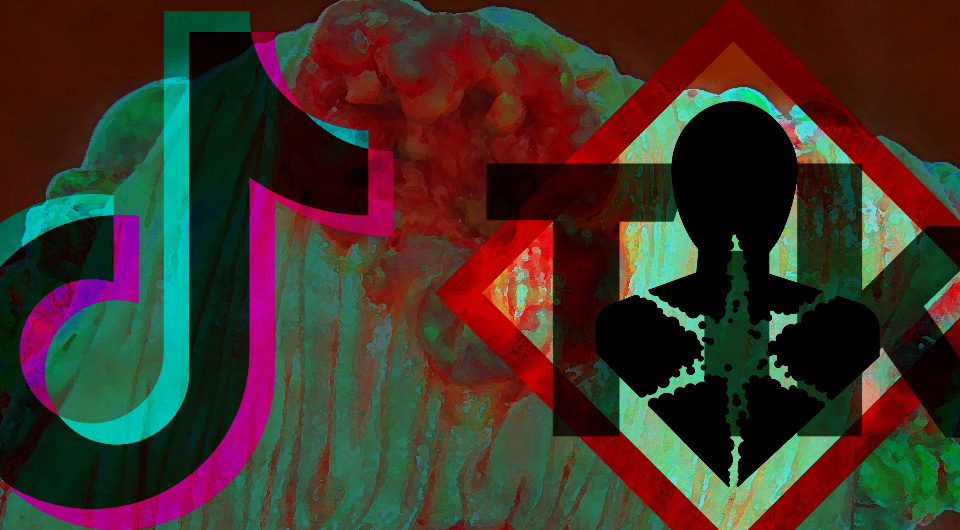   N + 1; Emmanuelm / Wikimedia Commons / CC-BY-3.0; ByteDance Ltd / Wikimedia Commons / Public Domain; UNECE / Public Domain