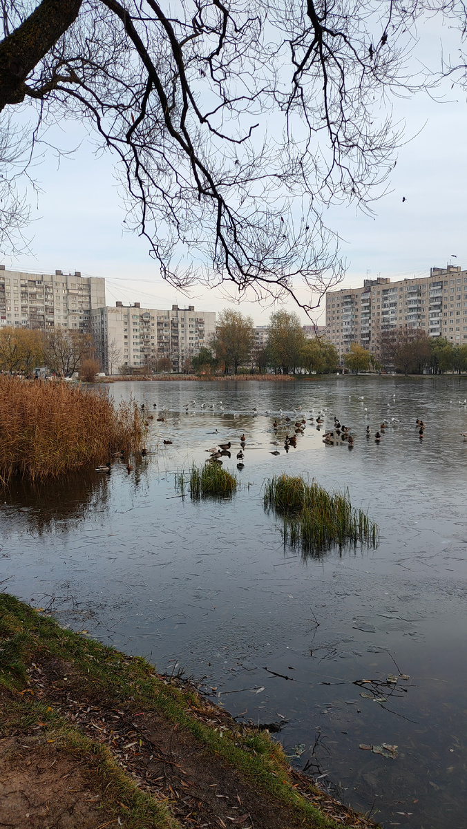 Фото автора 