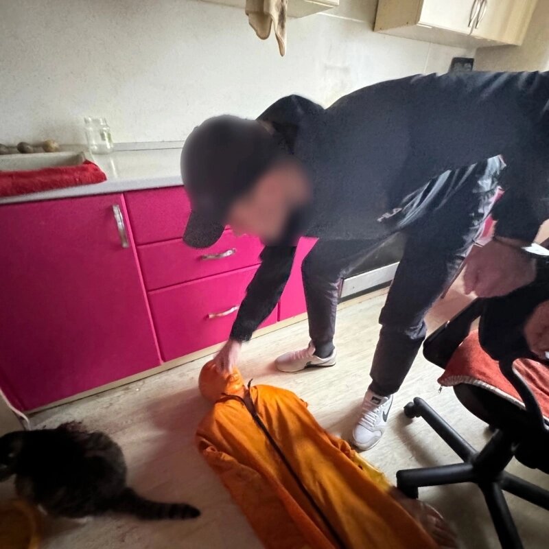    Фото: Пресс-служба следственного комитета по Ульяновской области