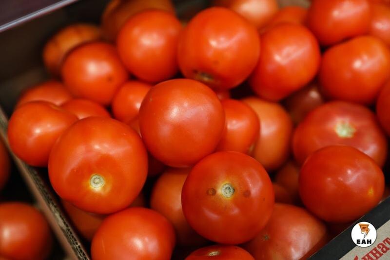    ЕАН / Россельхознадзор уничтожил полтонны зараженных томатов