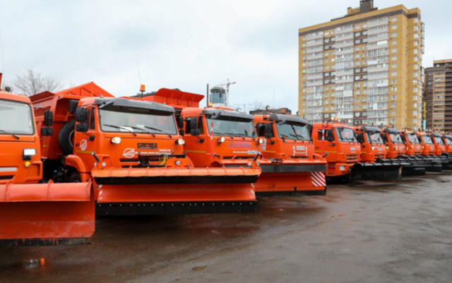 Фото: пресс-служба мэрии Воронежа