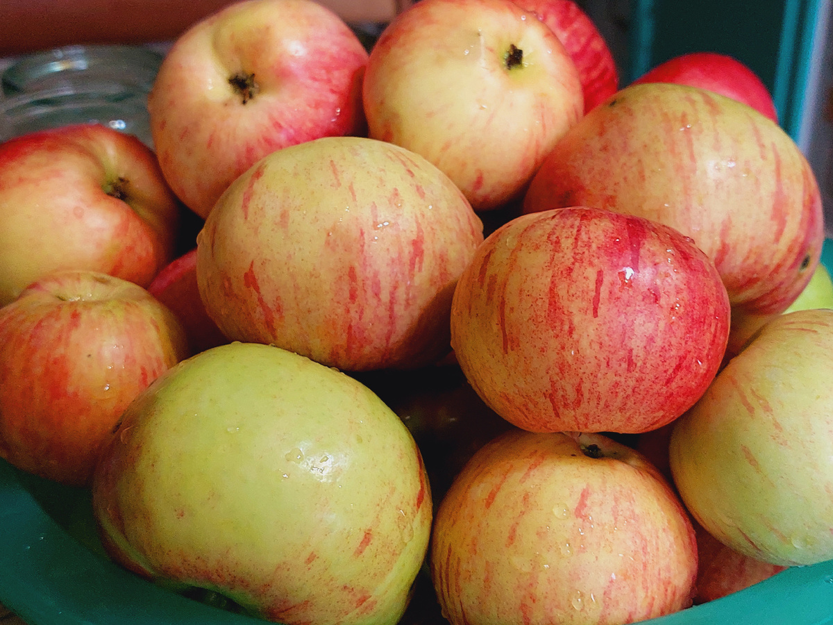 Фото автора канала 