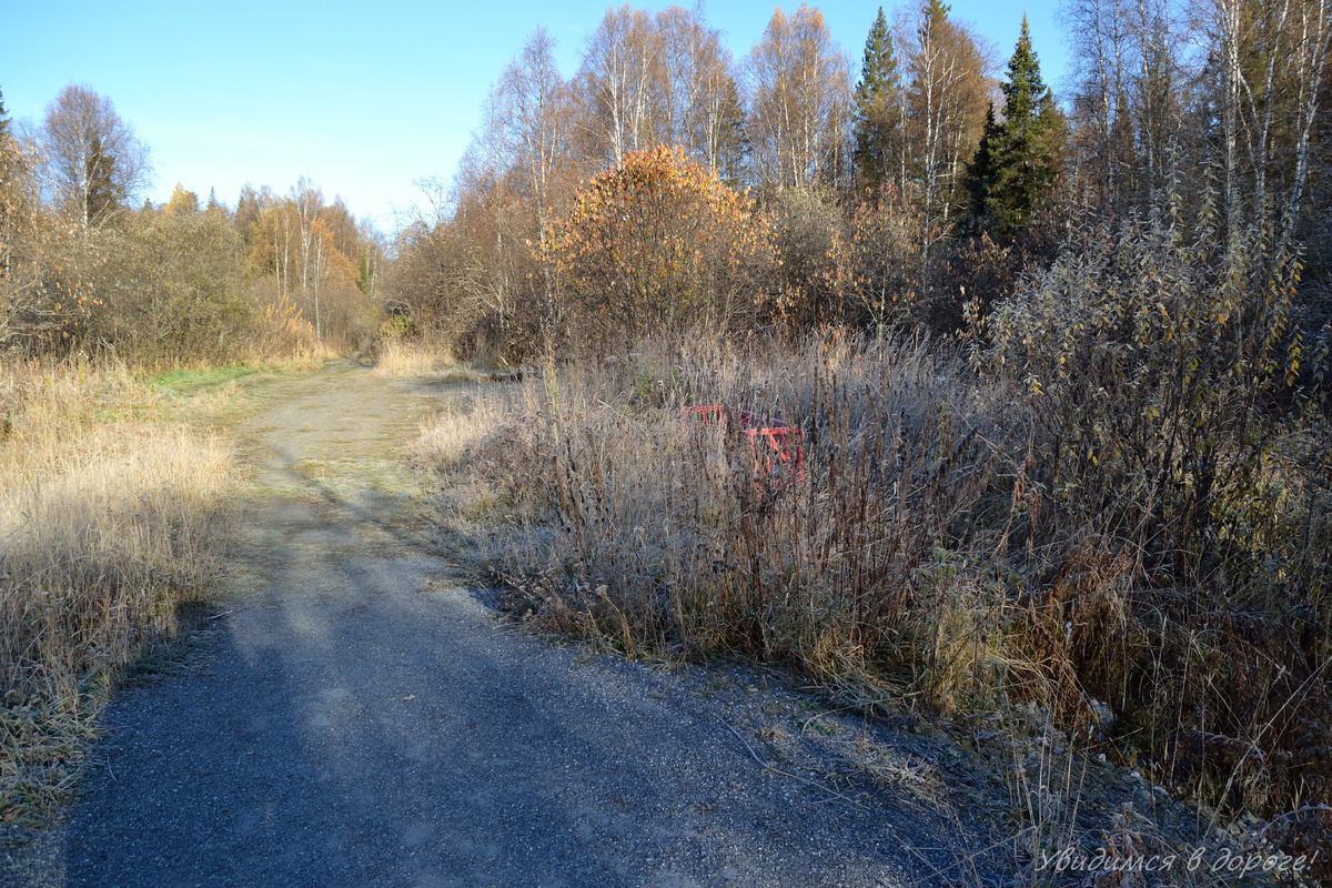 Первые полтора километра, ноги еще подмерзают, зато как красиво!