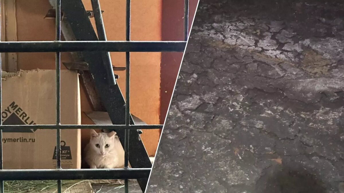     Источник: prmira.ru