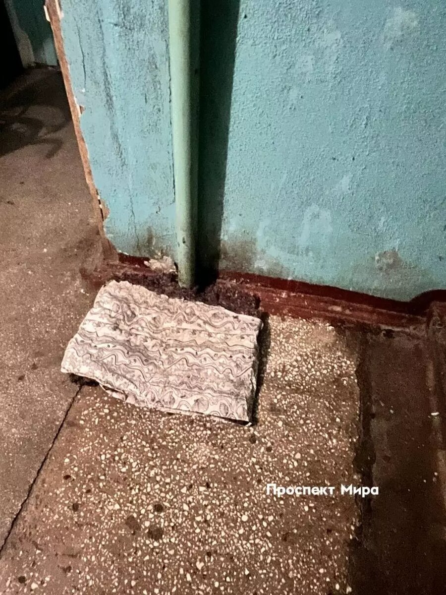     Источник: prmira.ru