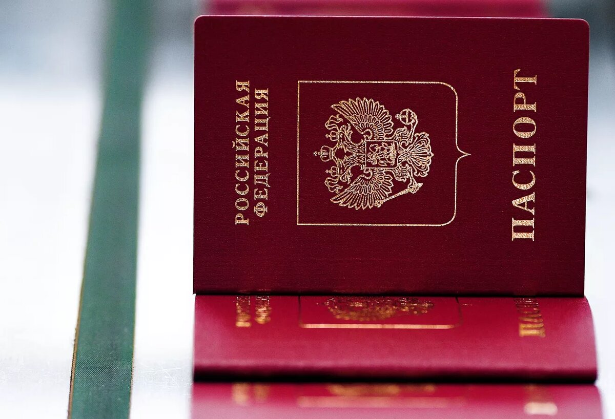 © Sputnik / Владимир Астапкович