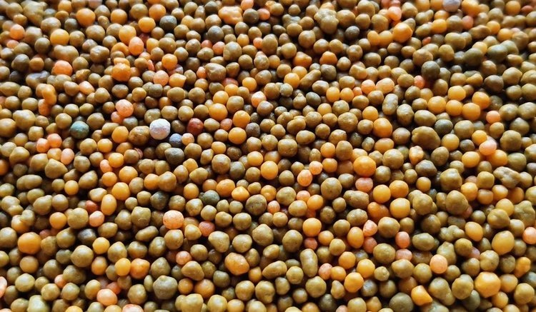    Российские производители минудобрений готовы наращивать поставки в Индию