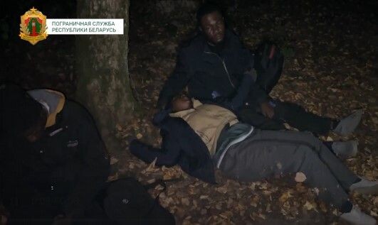     / Источник: ©Кадр из видео