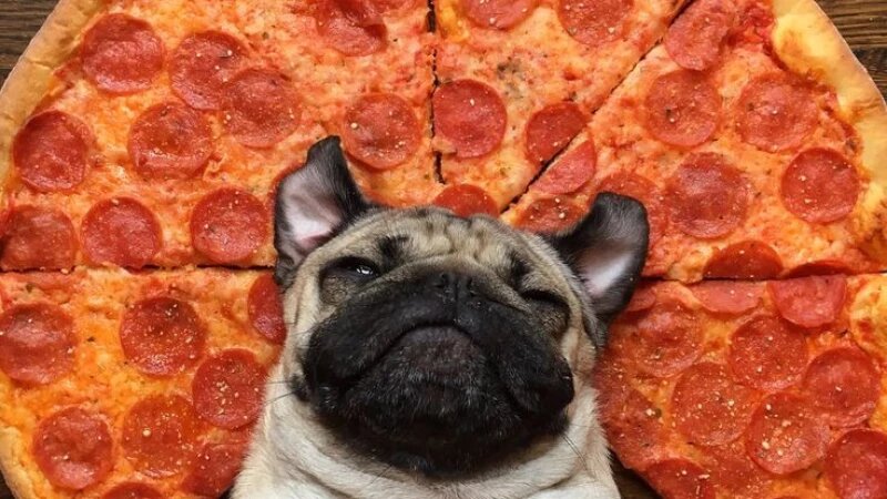     Смешная подборка жизненных мемов про еду pikabu.ru