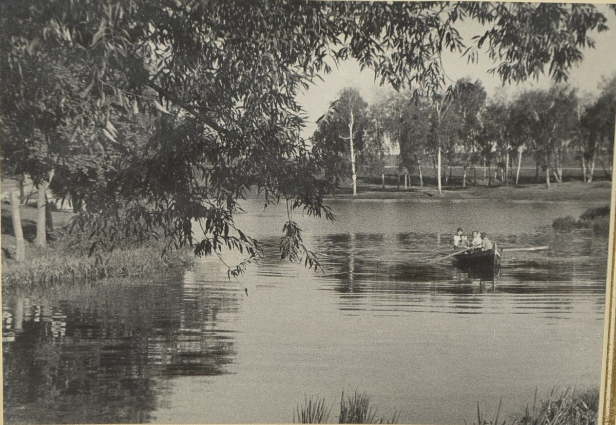 Рюмина роща (сейчас — ЦПКиО). Архивное фото