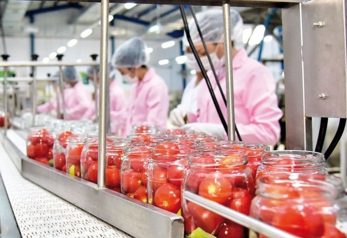 Момент с производства на предприятии по переработке и упаковке овощей и фруктов, Лебапский велаят, Туркменистан