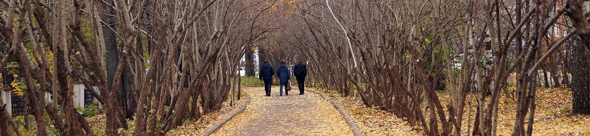    Фото: Сергей Егоров