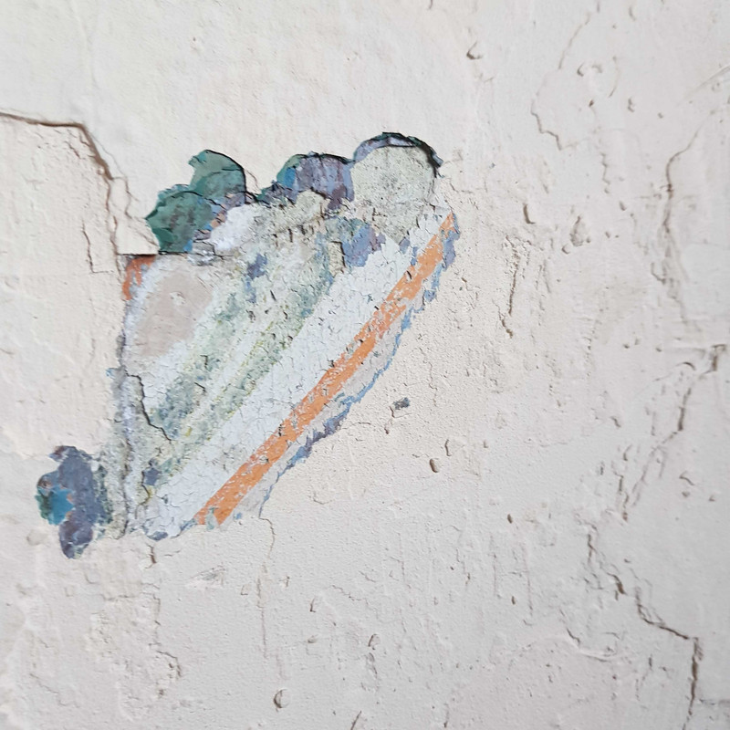 Первая находка исторического орнамента. Фото январь 2023.