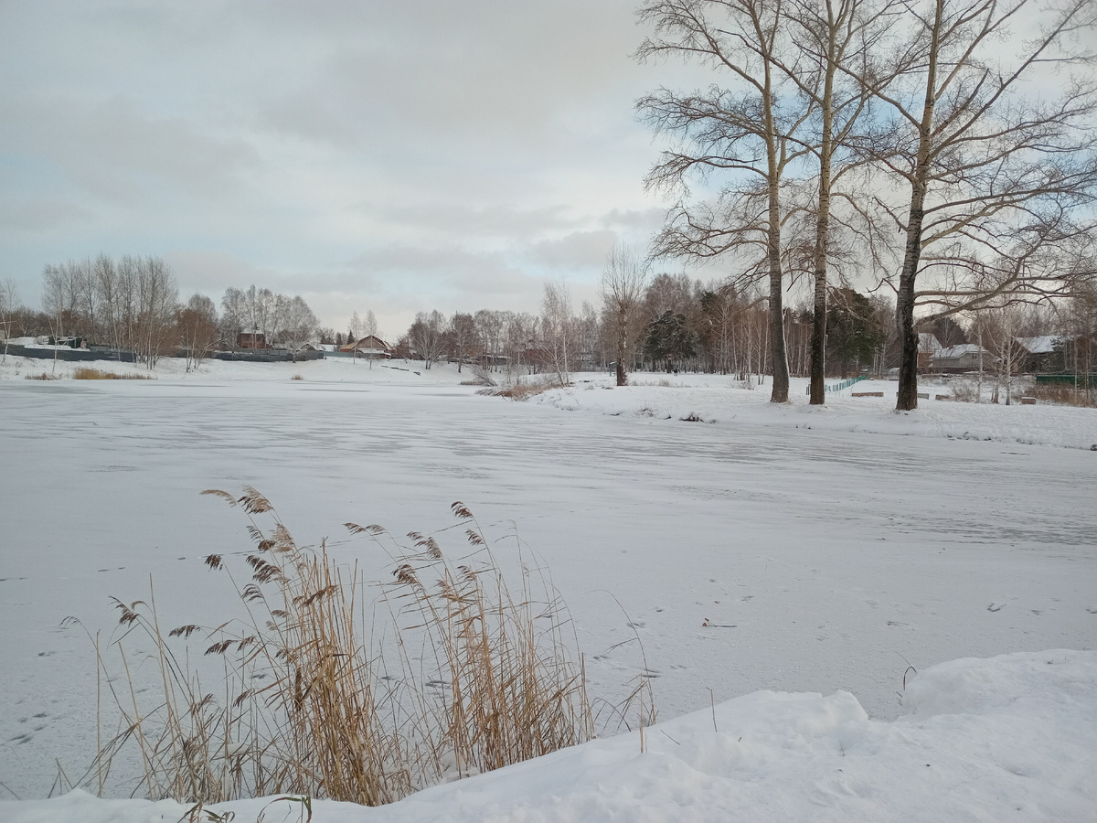 На пруду полностью встал лёд 