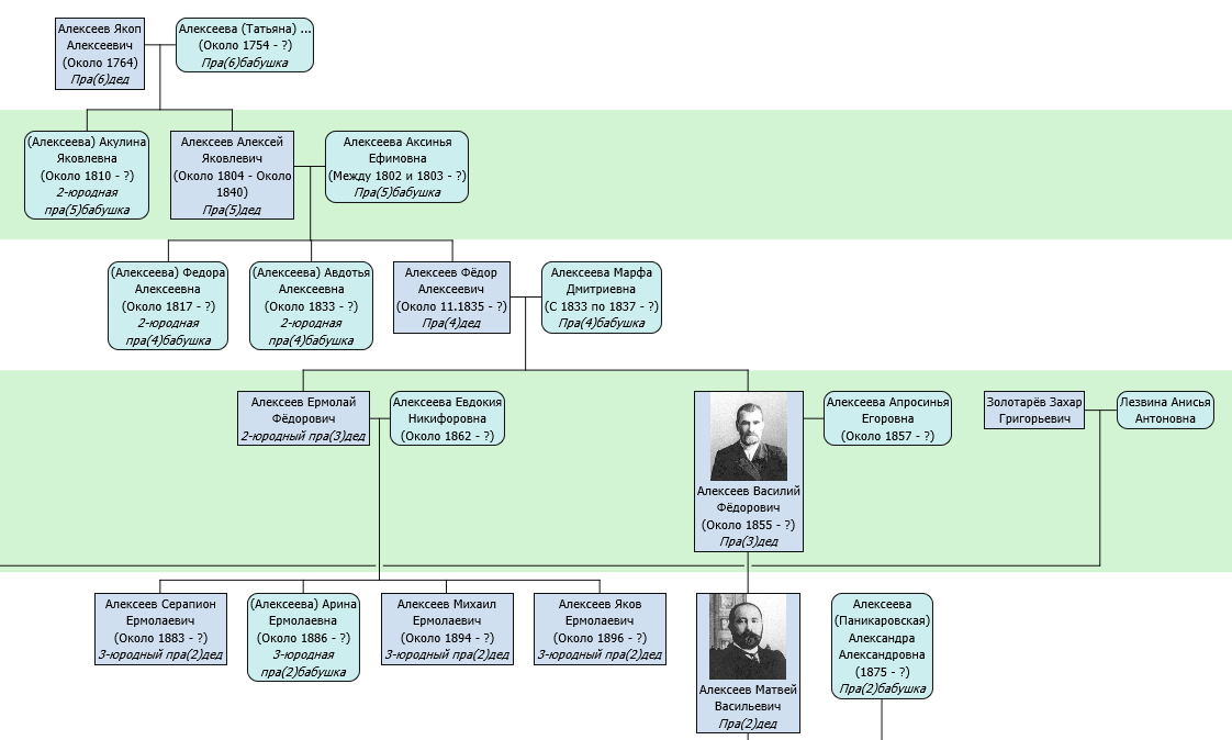 Так выглядит одна из моих веток в программе "Древо Жизни"