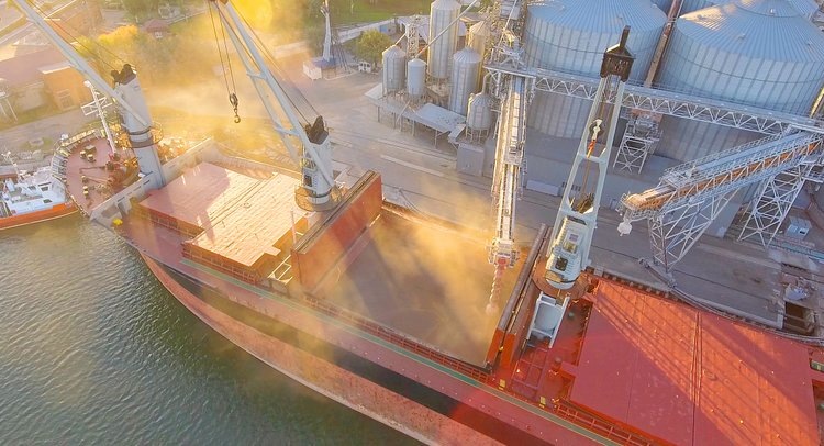    Экспорт агропродукции из портов Ростова-на-Дону достиг объема в 15,5 млн тонн