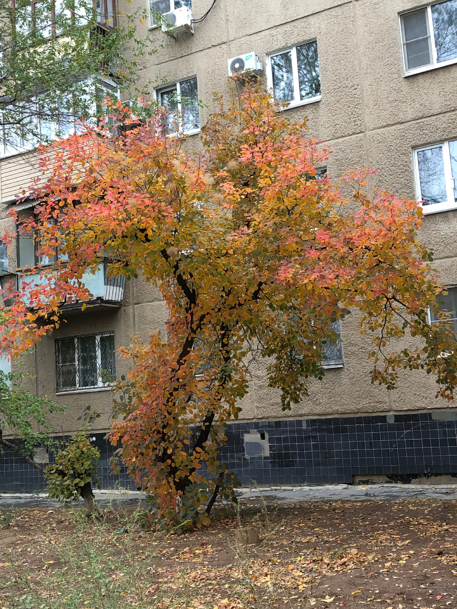 Похоже на вазу 