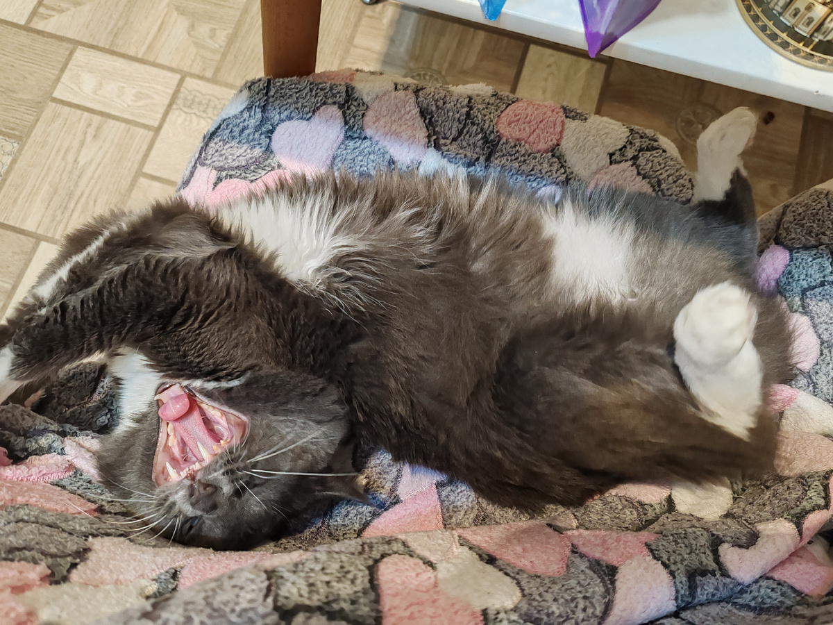 Фото автора канала. 