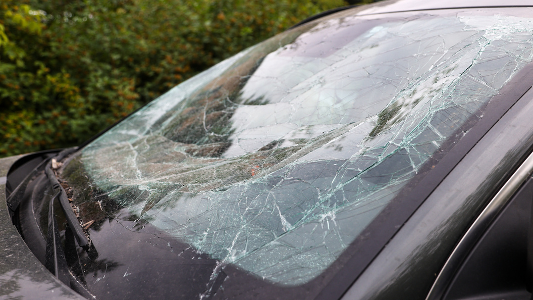    Фото: Petrov Sergey/news.ru/Globallookpress