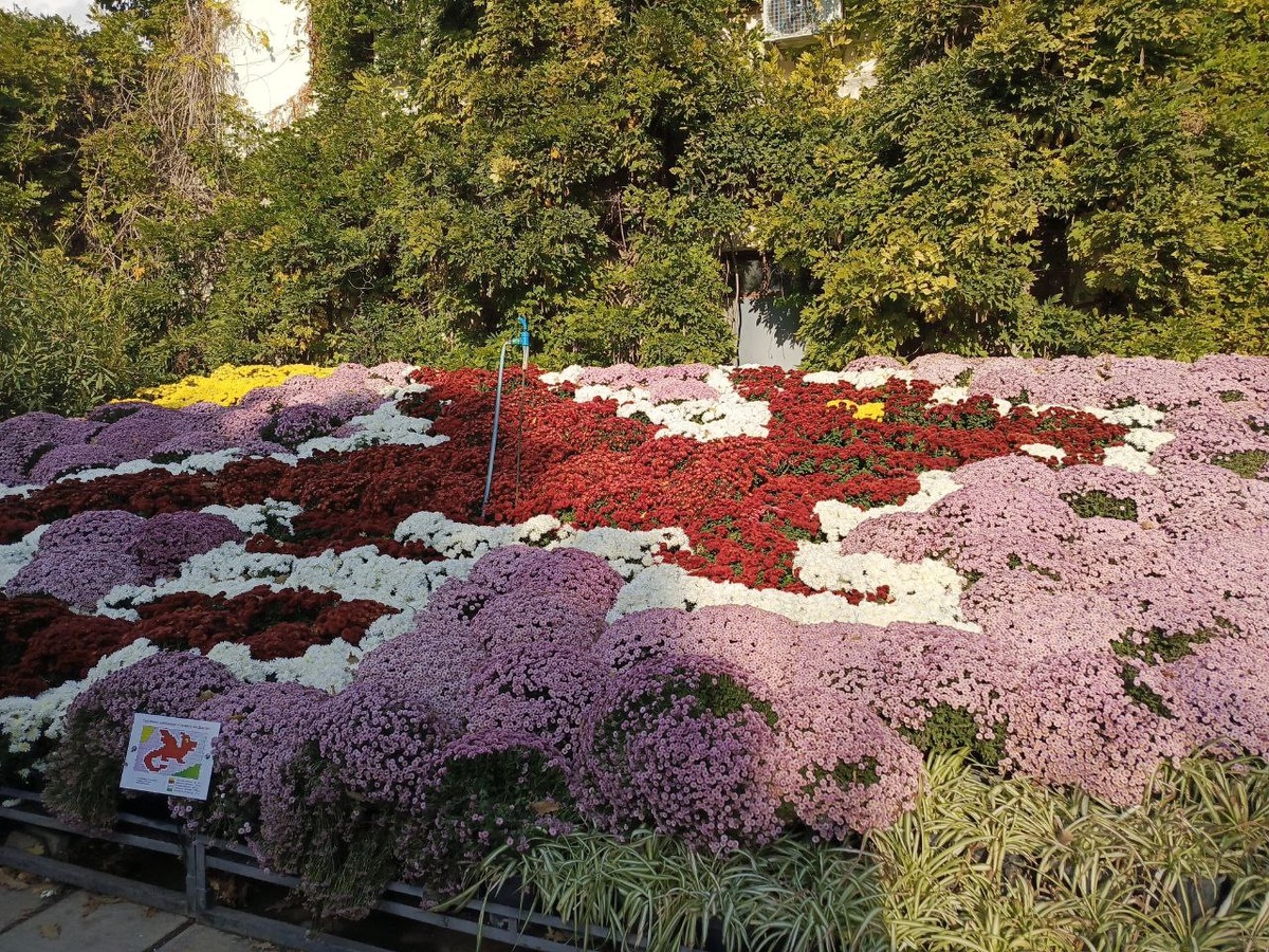 Фото; "Краснодарские известия"