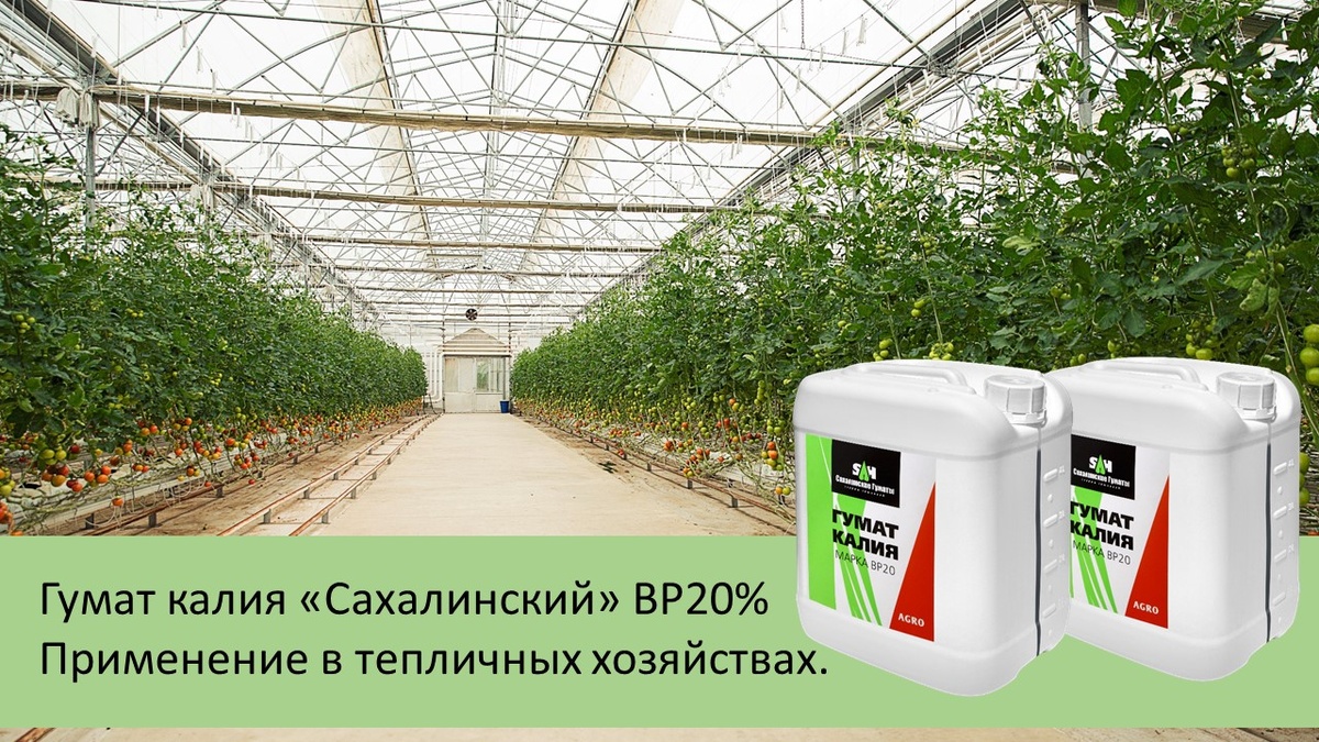 изображение теплицы https://ru.freepik.com/