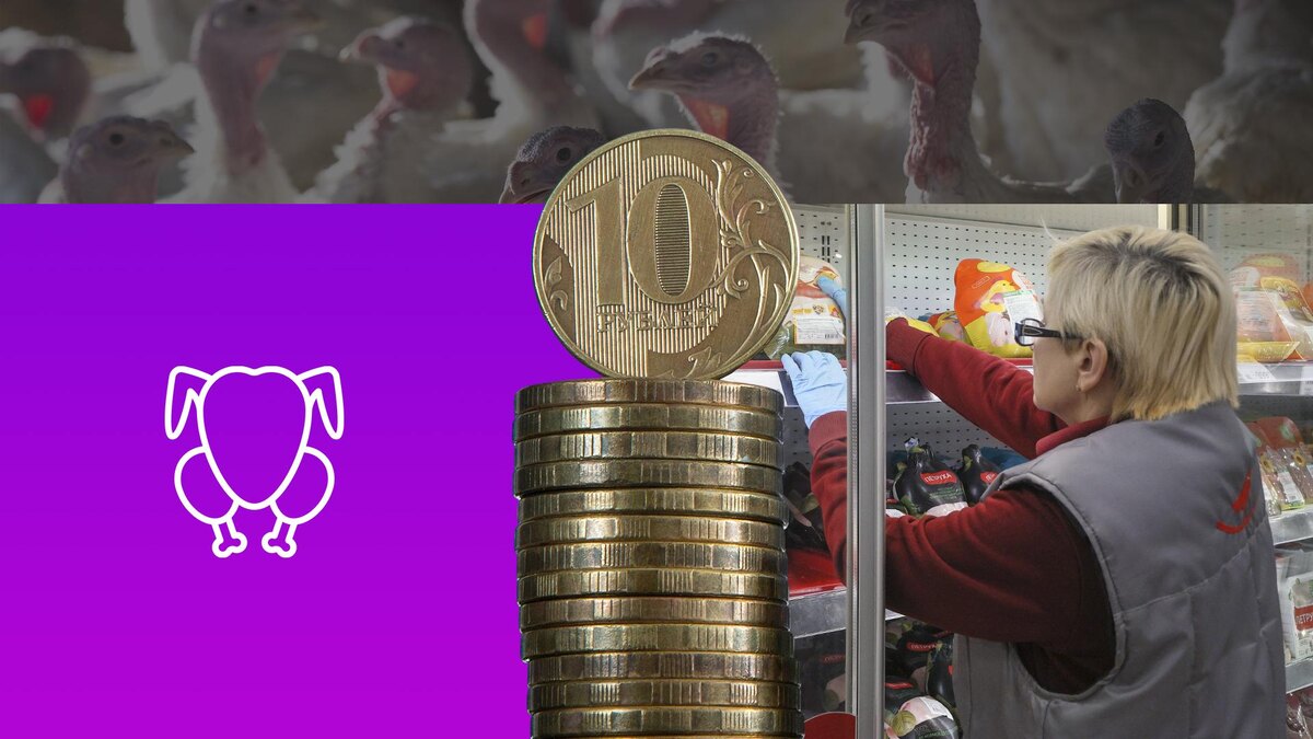 Коллаж 78.ru: Bulkin Sergey; Nikolay Gyngazov; Sven Hoppe/globallookpress.com, flaticon.com/juicy_fish