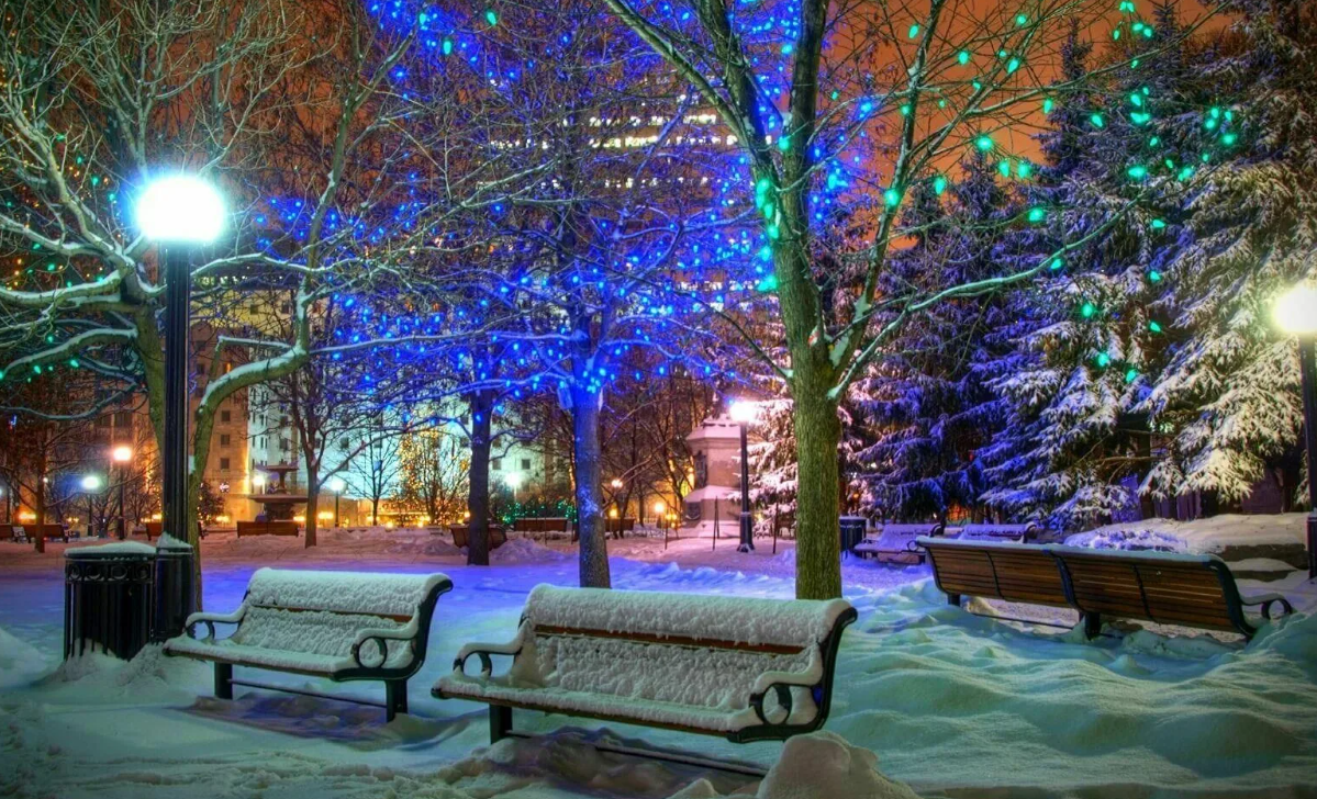 Яндекс картинки