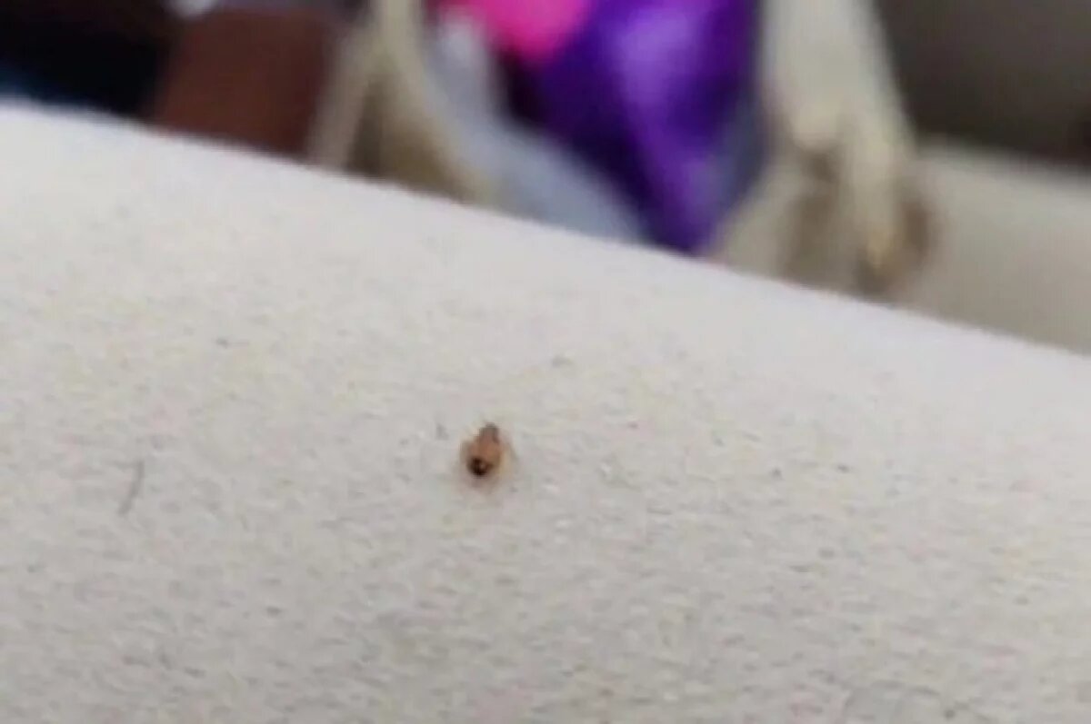    В вузе заявили: фотографии не доказывают, что снимки сделаны именно в университете.