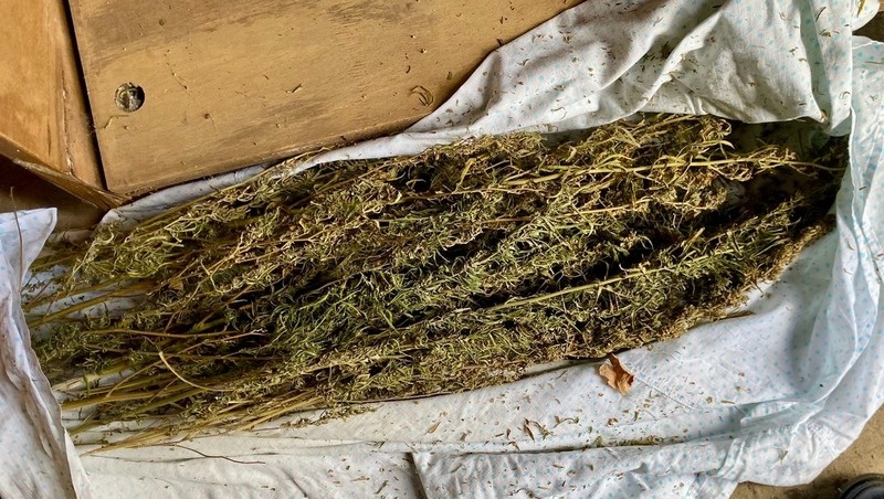      Фото: УМВД России по Ставрополью