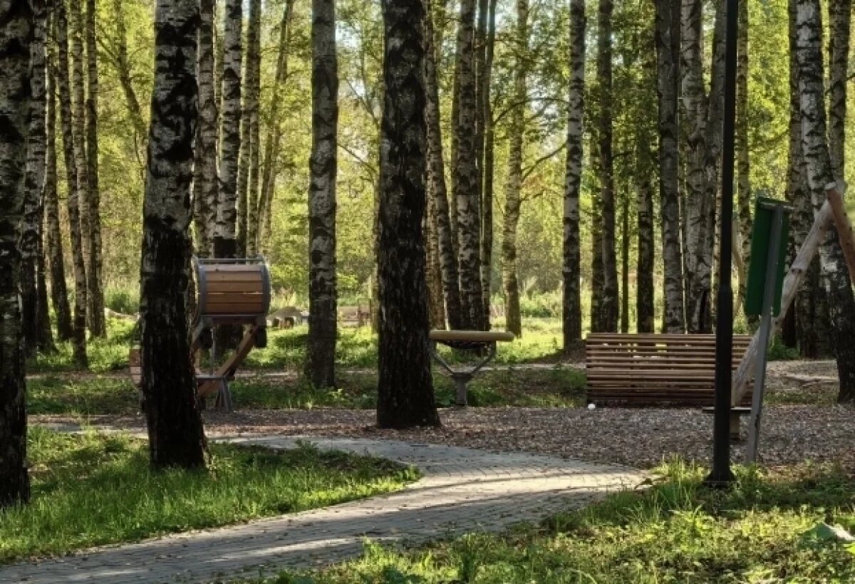    В Ярославле завершение благоустройства трех парков перенесли на 2025 год