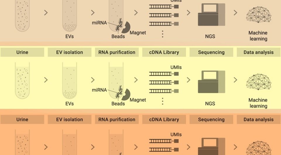   Shogo Baba et al. / eClinicalMedicine, 2024