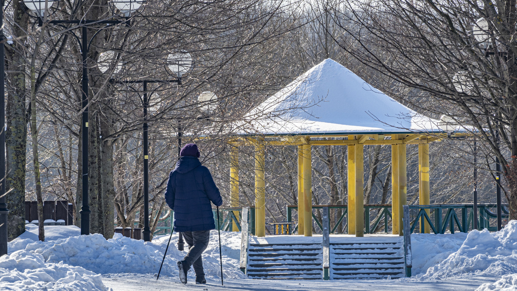    Фото: Константин Кокошкин/Globallookpress.