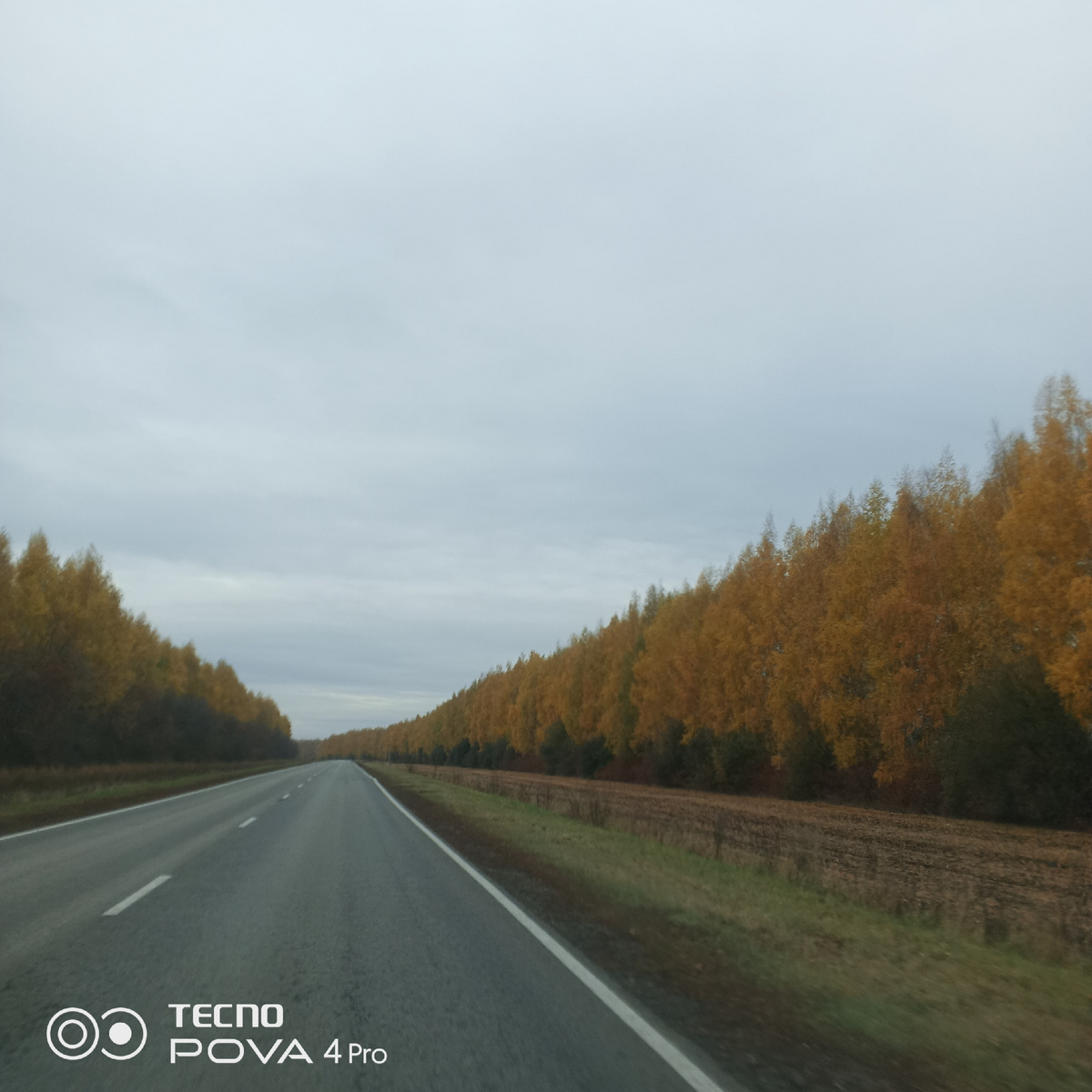 Красота осени