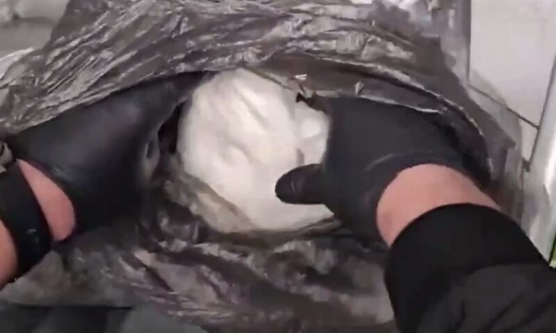    Фото пресс-службы УВД по Сочи