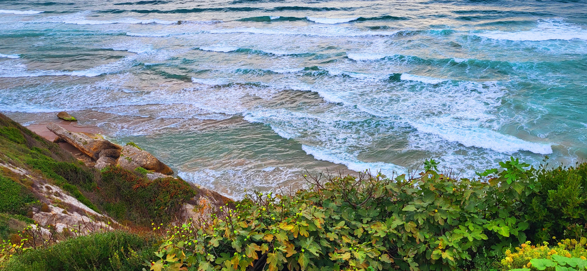 Фото принадлежит автору канала.