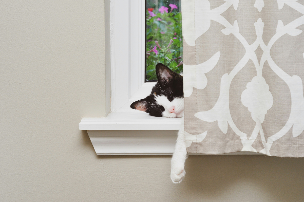 Photo by Kiy Turk on Unsplash