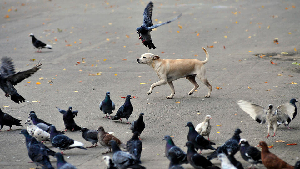 Фото: © ТАСС/Лев Федосеев
