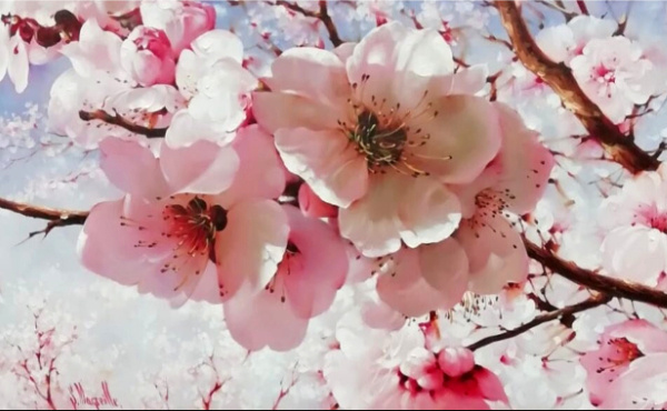 Источник изображения: singatullin_marsel