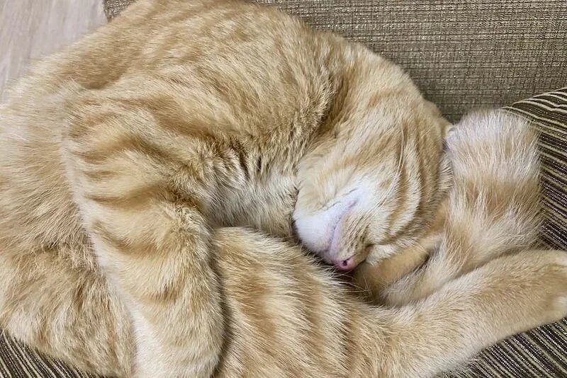 Фото: UfaTime.ru